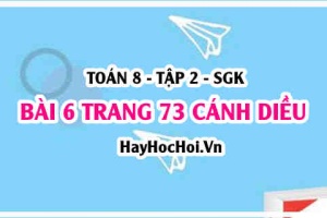 Bài 6 trang 73 Toán 8 Tập 2 Cánh Diều